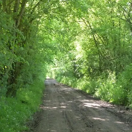 Chambres D'hotes Ferme De La Cordiere Panzió Noyers-Bocage