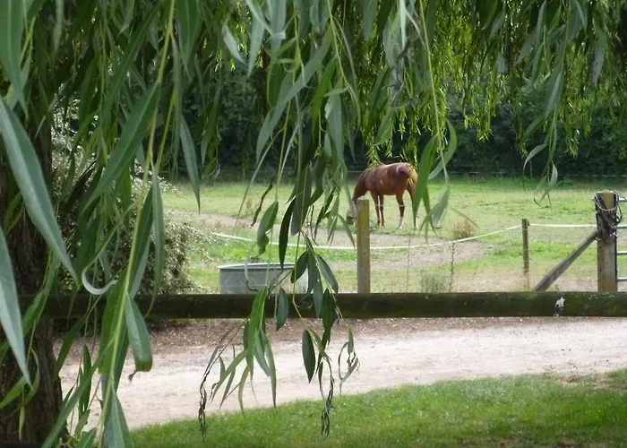 Chambres D'hotes Ferme De La Cordiere Отель типа 
